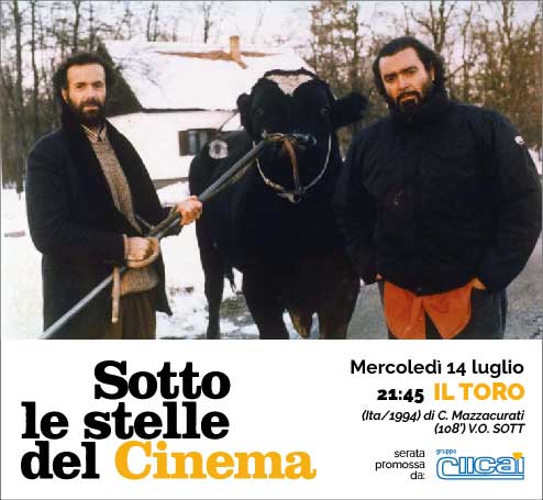 Sotto le stelle del cinema